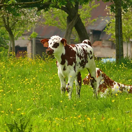 Logis Restaurant Le Dauphin Et Le Du Prieure فندق