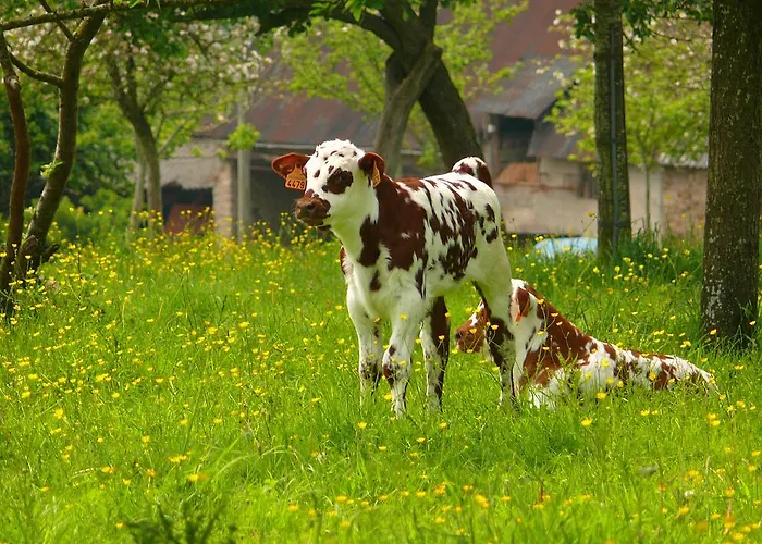Restaurant Le Dauphin Et Le Du Prieuré Hotel